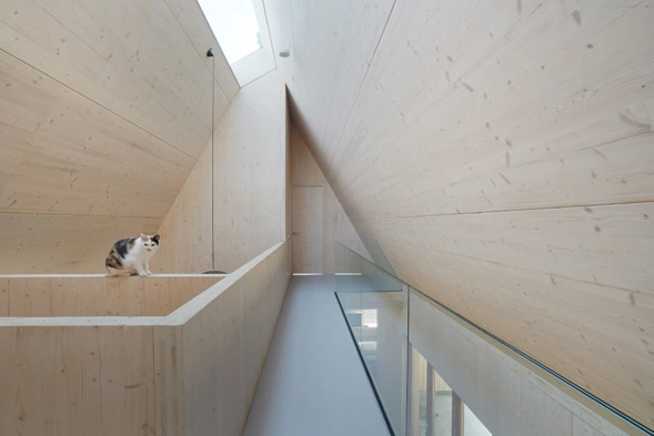 houten dakconstructie met glazen balustrade en een kat op de vide